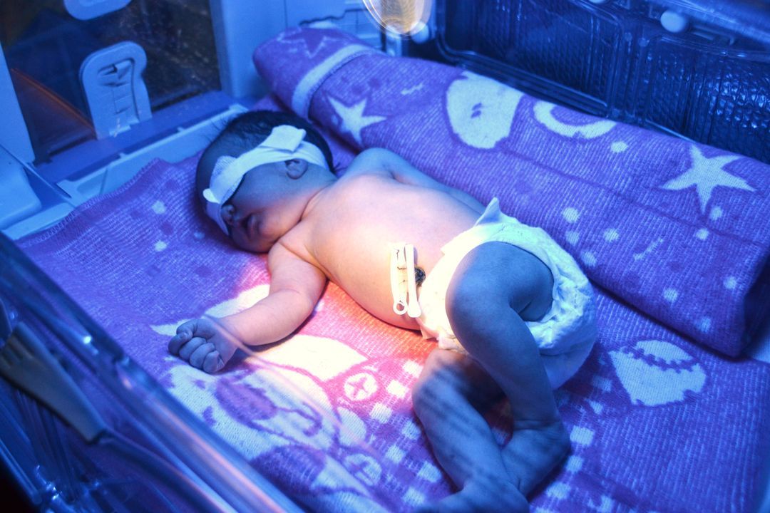 Бердичівський Центр Жінки: новий рік починається з нових життів