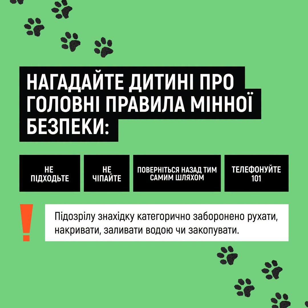 ДСНС про мінну безпеку