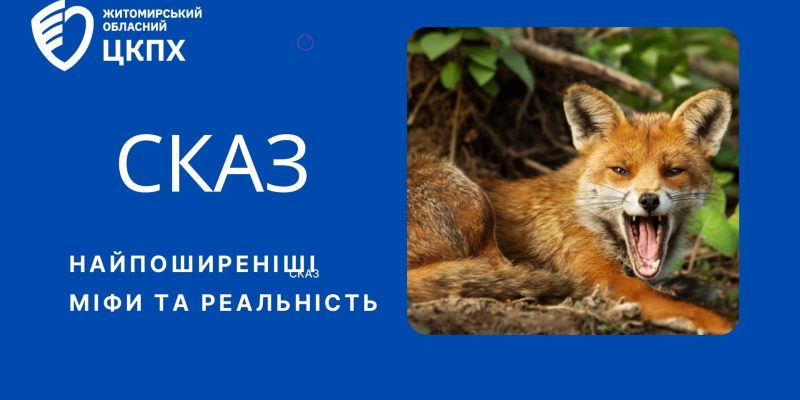 сказ