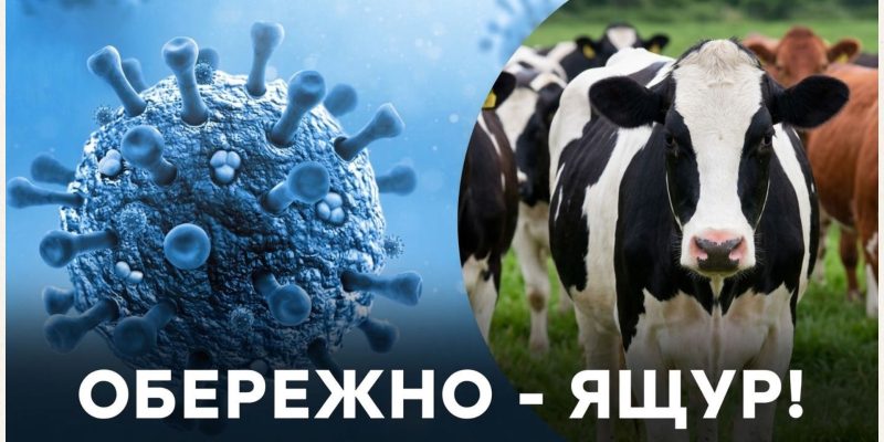 Beige and Black Minimalist Project Deck Presentation