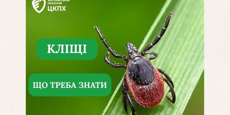 Beige and Black Minimalist Project Deck Presentation