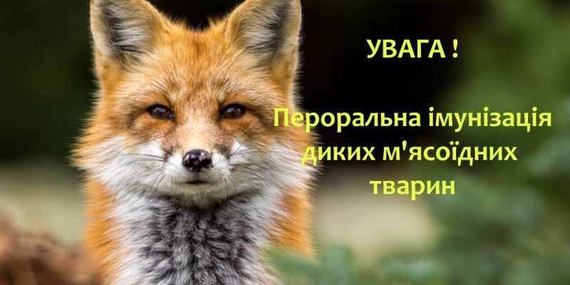 Ілюстрація