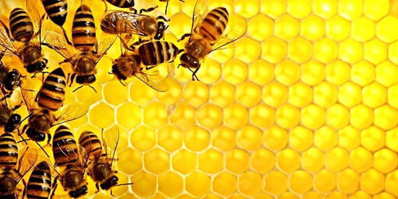 Ілюстрація