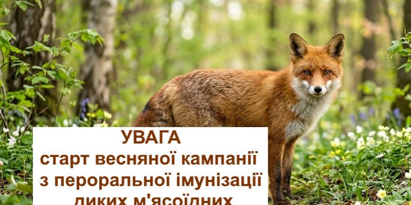 Ілюстрація