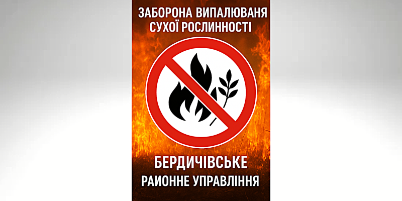 Дизайн без названия (1)