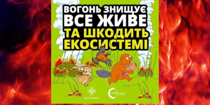 Дизайн-без-названия-11