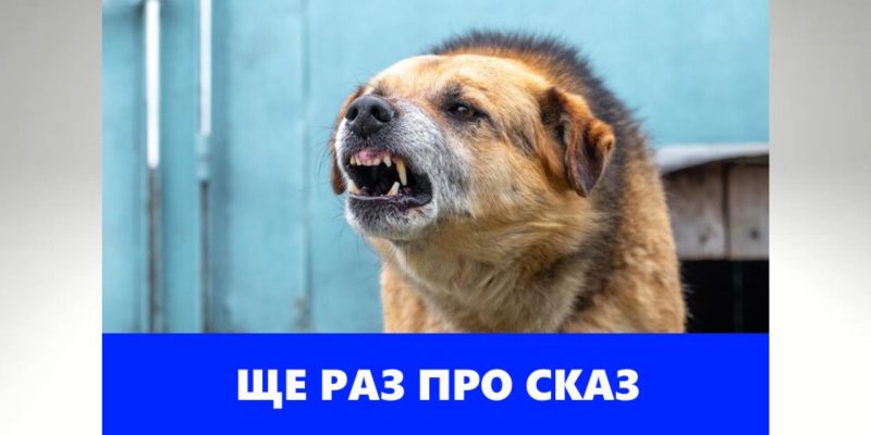 Дизайн без названия