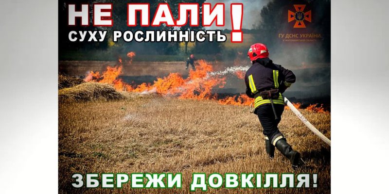 Дизайн-без-названия-2