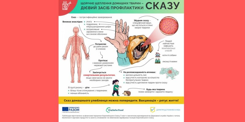 Дизайн-без-названия-37