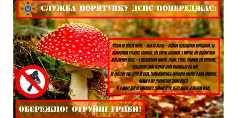 Дизайн-без-названия-4