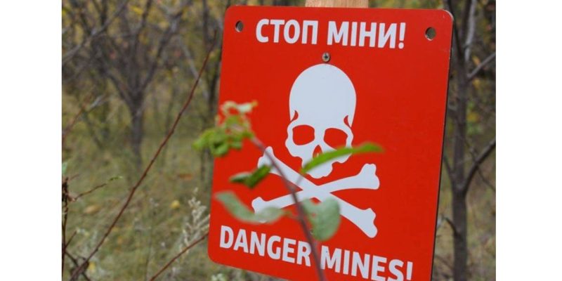 Дизайн-без-названия-45