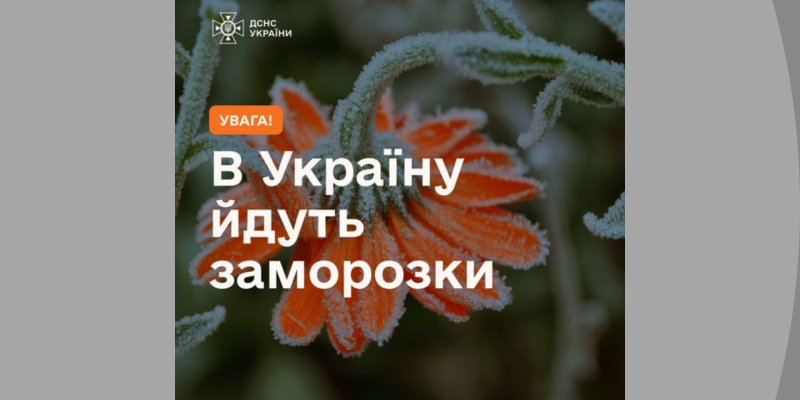 Дизайн-без-названия-52