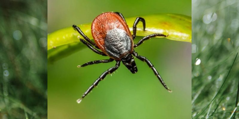 Дизайн-без-названия-54