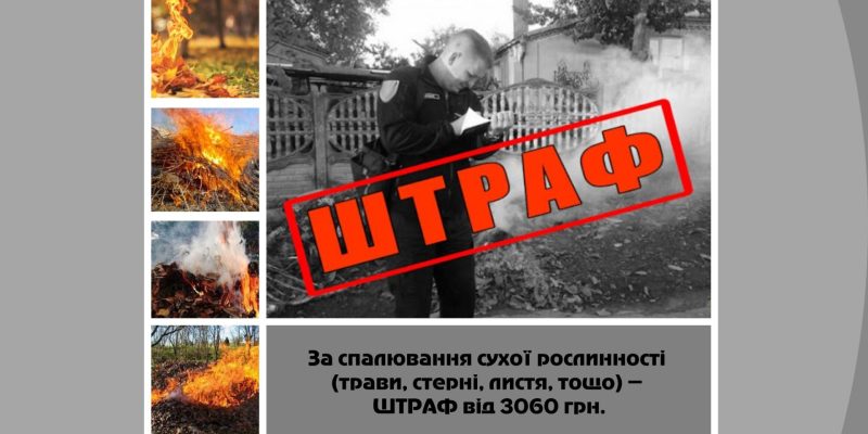 Дизайн-без-названия-59