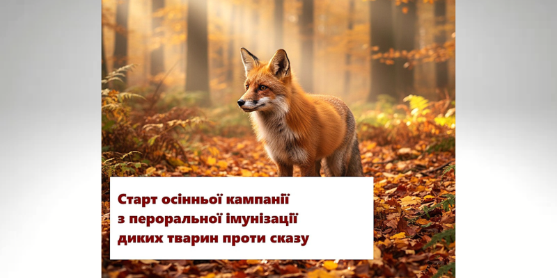 Дизайн без названия (6)