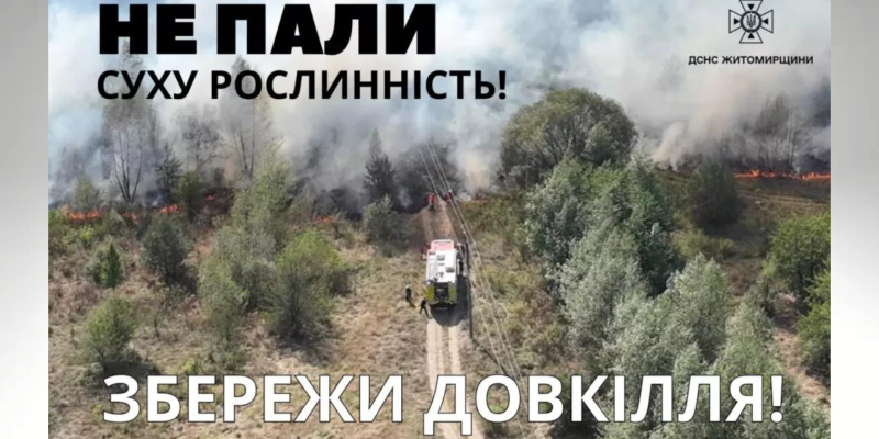 Дизайн-без-названия-7