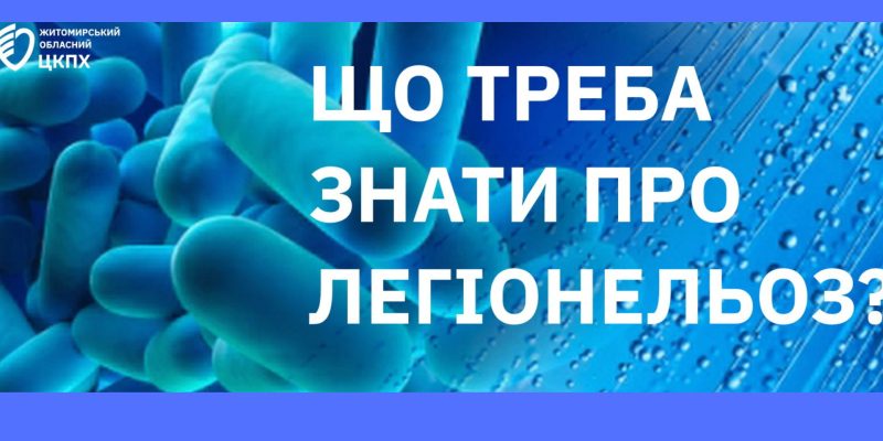 Дизайн-без-названия-8