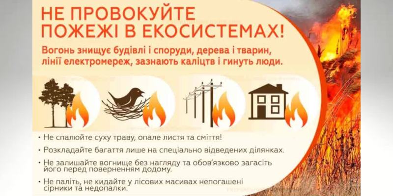 Дизайн без названия