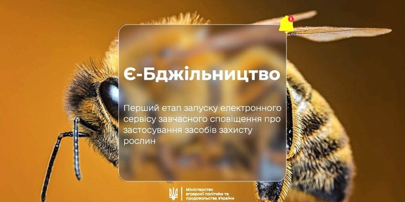 Е Бджільництво