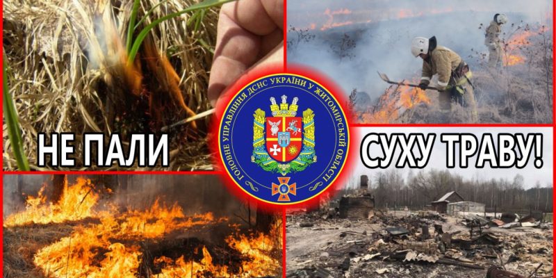 Не пали суху траву