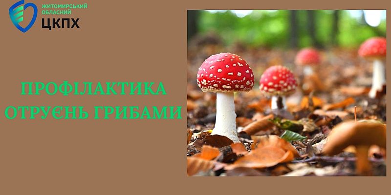 ПРОФІЛАКТИКА ГРИБНИХ ОТРУЄНЬ - 1