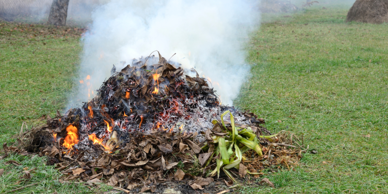 Підпал-трави
