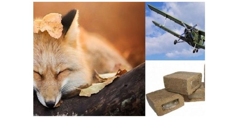 вакцинація