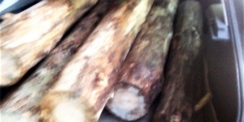 изображение_viber_2021-08-09_16-01-10-095