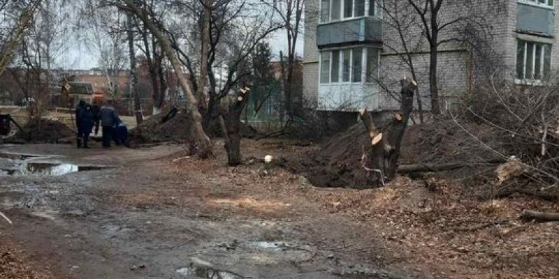 изображение_viber_2021-11-24_15-10-58-770