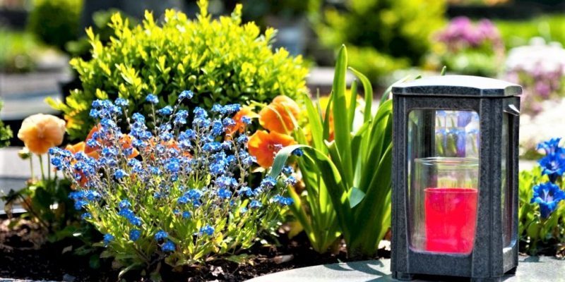 квіти_кладовище-q4h0f6c0yf2y9f4utio1jqp4annz1hohloxjemuoww