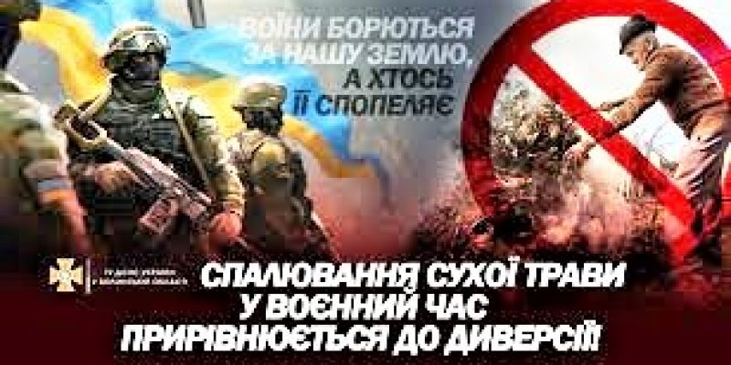 спалюють-траву_2-1